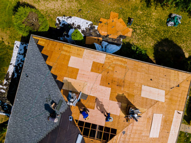 Roof Repair Estimates in Newton, MS